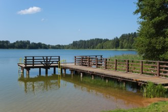 A wooden jetty juts into a calm lake, surrounded by trees and a clear blue sky, Paniewo Lake,