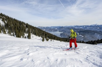 Ski tourers climbing Simetsberg, view of Walchensee, Estergebirge, Bavarian Prealps, Bavaria