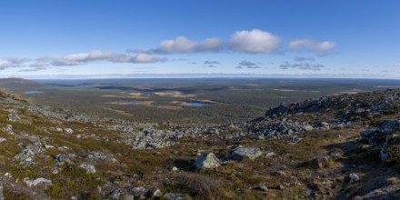 Autumn landscape, view of lake landscape, Pallas-Yllästunturi National Park, Lapland, Finland,