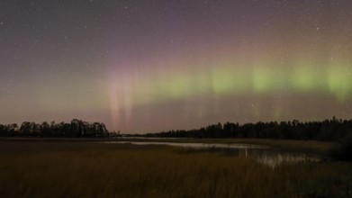 Aurora Borealis, Northern Lights or Aurora Borealis, Lake, Finland, Europe