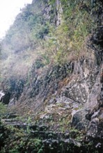 Steep, slippery steps of the Huayna Picchu mountain path, Machu Picchu, Peru, South America around