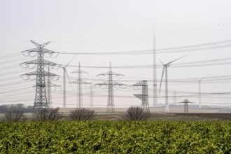 Wind farm in the fog, high-voltage pylons, dark doldrums, no wind no direct sunlight, in the