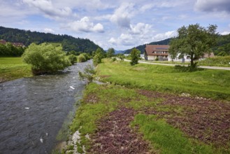 River Kinzig, hilly landscape with forest, meadow and trees, blue sky with cumulus clouds,