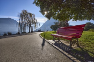 Babylon willow (Salix babylonica), lakeside promenade, lake, trees, hill, haze, lantern, bench,