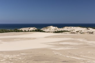 Lacka dune in the Slowinski National Park, a national park in Pomeranian Voivodeship in northern