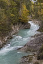 Rissbach creek flowing fast through the Riss valley. Autumn colors around