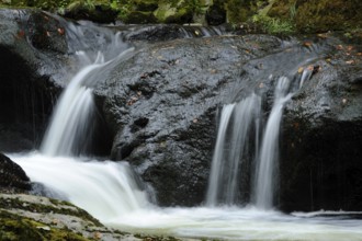 Close-up of a waterfall over black rocks with autumn leaves, Buchberger Leite, Bavarian Forest