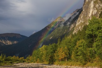 Rainbow after a thundertorm. Nature conservancy area Grosser Ahornboden. Sycamore maple trees, Acer