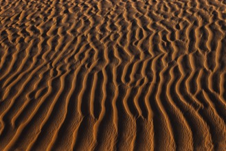 Wind-sculpted sand structure in the Rub al Khali desert, Dhofar province, Arabian Peninsula,