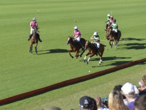 Scene from the 131st Argentine Open Polo Championship (Spanish: Campeonato Argentino Abierto de