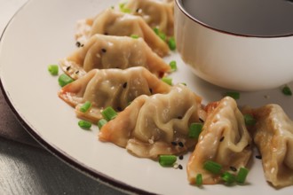 Japanese Gyoza dumplings, fried, with sauce, top view, without people, tinted, selective focus