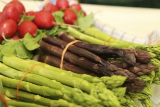 Green and purple asparagus, radishes in the background