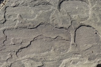 Texture of a boulder with moss and lichen