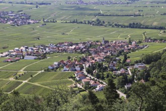 Weyer in the Southern Palatinate from above