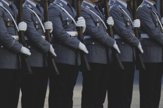 Soldiers from the Bundeswehr Guard Battalion, photographed during a reception with military honours