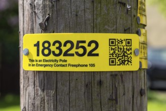 Electricity pole yellow numbered identification tag with emergency contact freephone phone number