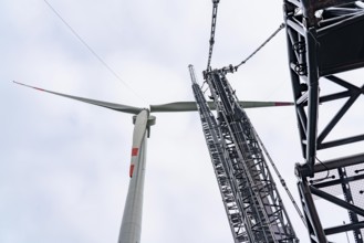 Erection of a wind turbine, wind energy plant, assembly of the third blade, with a crawler lattice