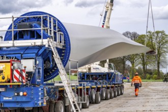 Preparation for the transport of a 68 metre long blade, a wind turbine, with a self-propelled