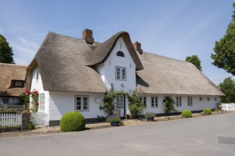 Frisian house, thatched house, Nieblum, Föhr, North Sea island, North Frisia, Schleswig-Holstein,