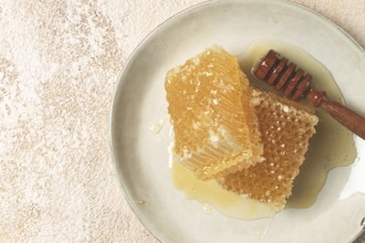 Honeycomb, with a wooden spoon-spindle, on a plate, no people