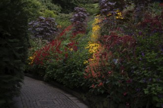 Flowers and shrubs in bloom, Trauttmansdorff Castle, Botanical Gardens, Merano, Meran, South Tyrol,