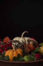 A bowl with pumpkins, rosehips and lantern flowers, autumn decoration, Germany, Europe