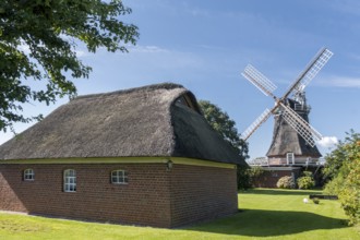 Oldsumer Gallerieholländer, North Sea island of Föhr, Schleswig-Holstein, Germany, Europe