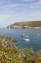 Coast of Mani on the Messinian Gulf, Laconia, Peloponnese, Greece, Europe