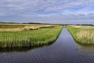 Man-made drainage canal, Texel, West Frisian Island, Province of North Holland, Holland Netherlands