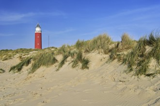 Eierland lighthouse with dunes, De Cocksdorp, Texel, West Frisian Islands, Province of North