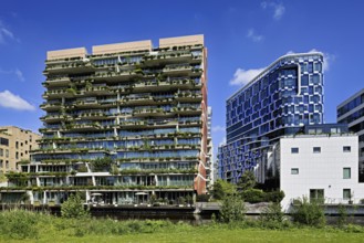 Left residential building The George, architects dok, right office building NautaDutilh by