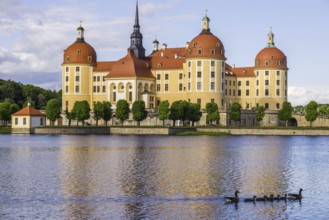 Moritzburg Castle, municipality of Moritzburg near Dresden, Saxony, Germany, Europe