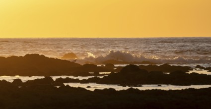 Evening mood, Marino Ballena National Park, coast with waves, South Pacific Ocean, Puntarenas