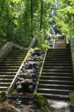 Moosbedeckte Steintreppe mit Wasser, umgeben von üppiger grüner Vegetation und Bäumen im Wald,