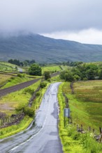 Farms in Yorkshire Dales National Park, North Yorkshire, England, United Kingdom, Europe