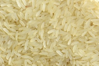 Rice (Oryza sativa), rice grains