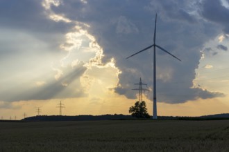 Wind farm, wind turbine, wind turbines, in front of sunset, storm clouds, overhead power lines, sun