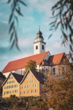 Church with surrounding half-timbered houses in autumn under a blue sky, Horb, Black Forest,