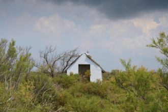 Small thatched white church, amidst vegetation and cloudy sky, summer, Fielouse, Arles, Camargue,