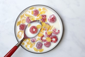 Raspberries and cornflakes with milk in a bowl, Rubus idaeus