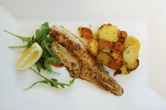 Mediterranean cuisine, fried pike-perch fillet, roast potatoes, fried potatoes, rocket salad, lemon