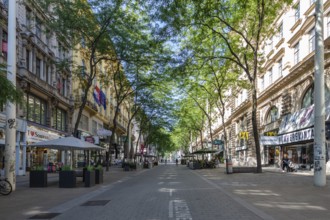 Lively shopping street in summer, lined with trees and numerous shops, Vienna