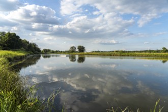 The Elbe near Buch, a district of Tangermünde, Saxony-Anhalt, Germany, Europe