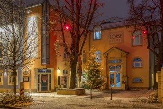 Star trees in front of the stock exchange at dusk, slightly snow-covered, Coswig, Saxony, Germany,