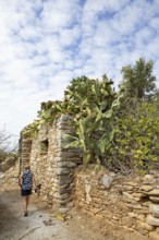 Traditional house overgrown with prickly pear, fortified village of Vathia, Mani Peninsula,