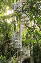 Decorative cast iron spiral staircase surrounded by tropical plants, historic greenhouse, palm