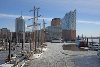 Europe Germany Hanseatic City of Hamburg Sports boat harbour, view of the Elbe Philharmonic Hall