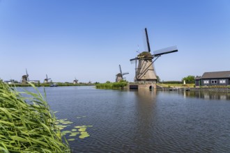 Kinderdijk, 18 windmills designed to pump water from the polders to utilise the land, one of the