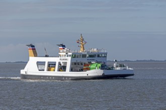 Pellworm ferry arrives, Strucklahnungshörn, Nordstrand, North Frisia, Schleswig-Holstein, Germany,