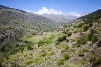 Landscape of the River Rio Poqueira gorge valley, High Alpujarras, Sierra Nevada, Granada Province,